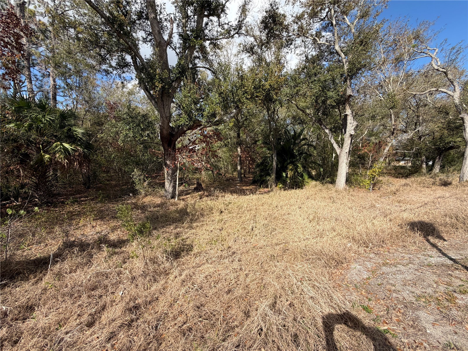 3500 Sebring Parkway Sebring FL 33870 L4960298 image7