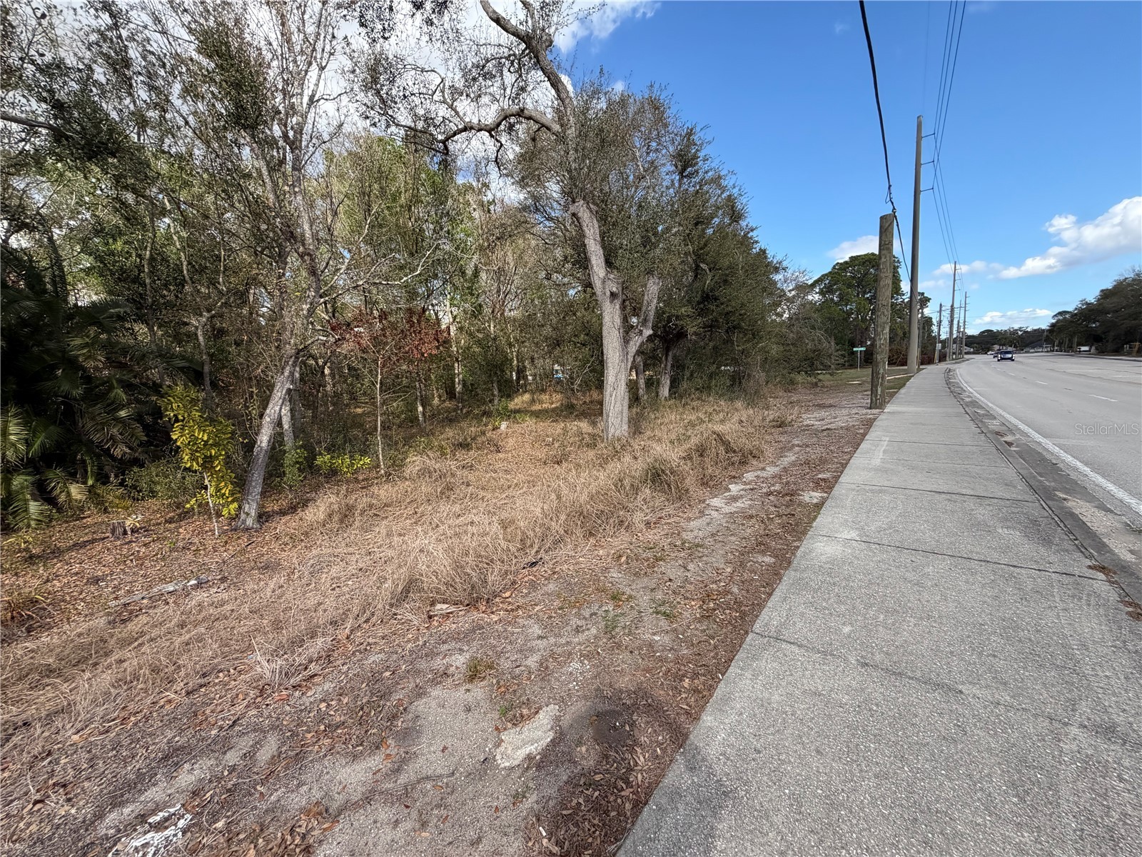 3500 Sebring Parkway Sebring FL 33870 L4960298 image9