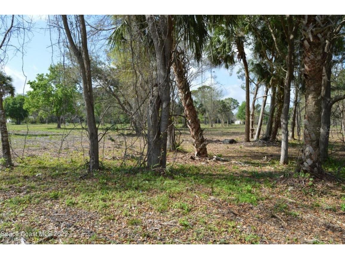 3500 Us Highway 1 Mims FL 32754 O6364032 image2