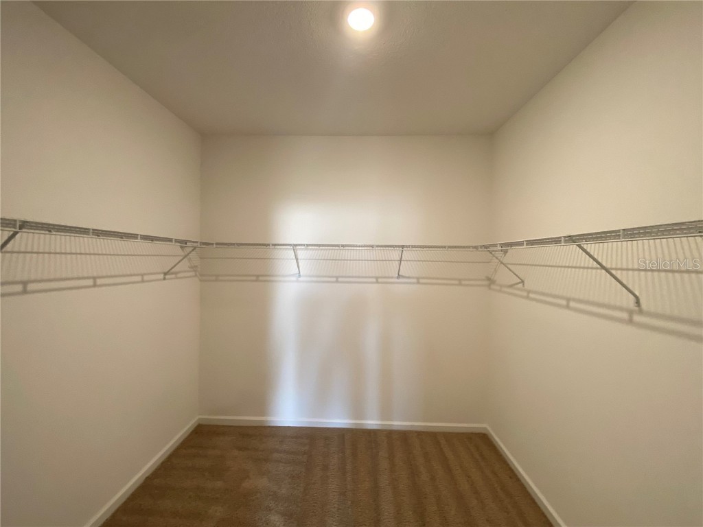 35003 Daisy Meadow Loop Zephyrhills FL 33541 TB8374888 image14