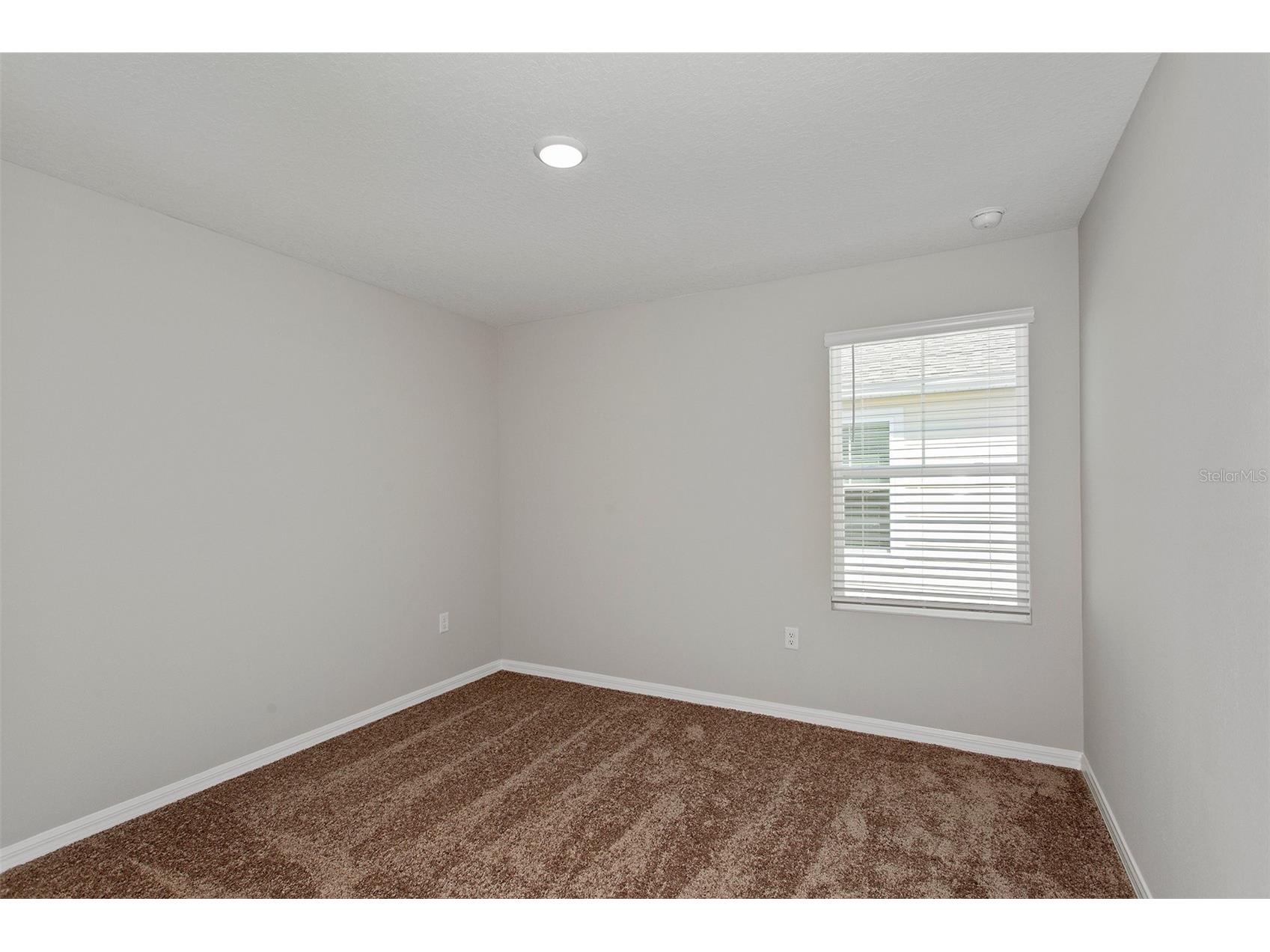 35005 Arbor Retreat Drive Dade City FL 33525 TB8501315 image17