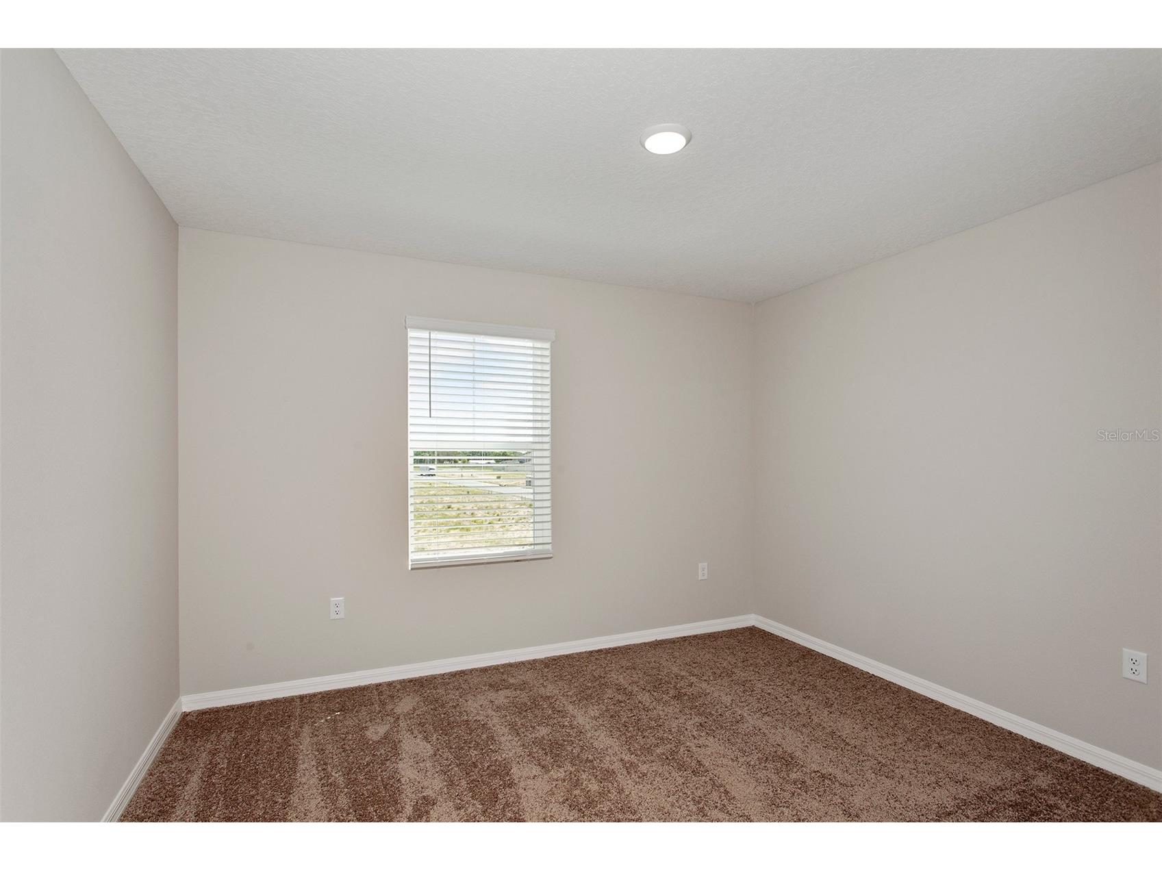 35005 Arbor Retreat Drive Dade City FL 33525 TB8501315 image18