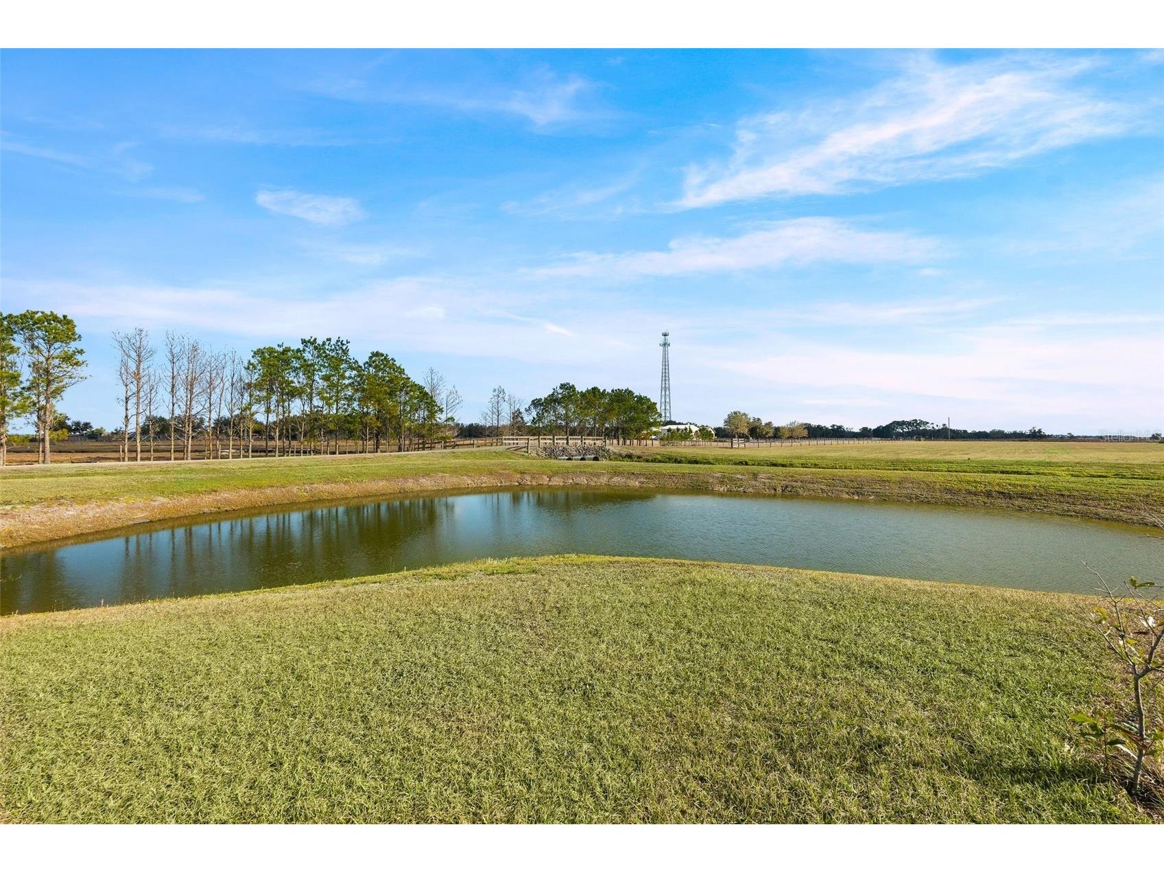 35005 Clay Gully Road Myakka City FL 34251 A4684263 image60
