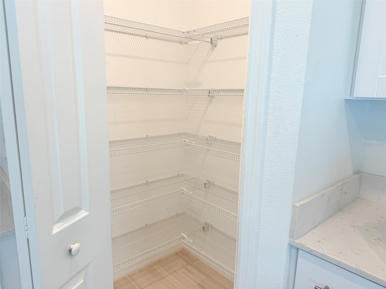 35007 Brackett Bend Zephyrhills FL 33541 TB8489570 image41