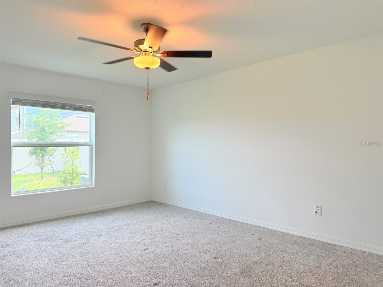 35007 Brackett Bend Zephyrhills FL 33541 TB8489570 image49