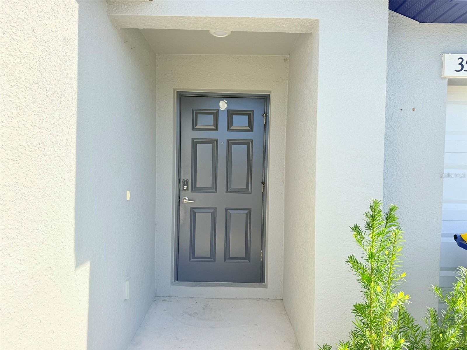 35007 Brackett Bend Zephyrhills FL 33541 TB8489570 image5