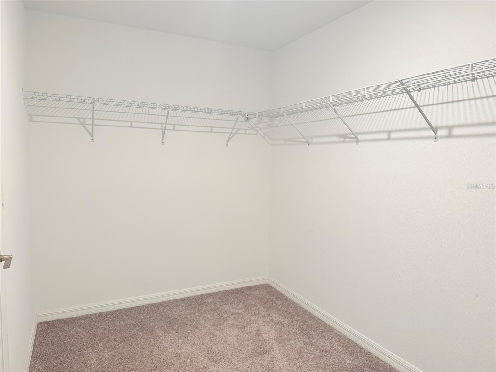 35007 Brackett Bend Zephyrhills FL 33541 TB8489570 image53