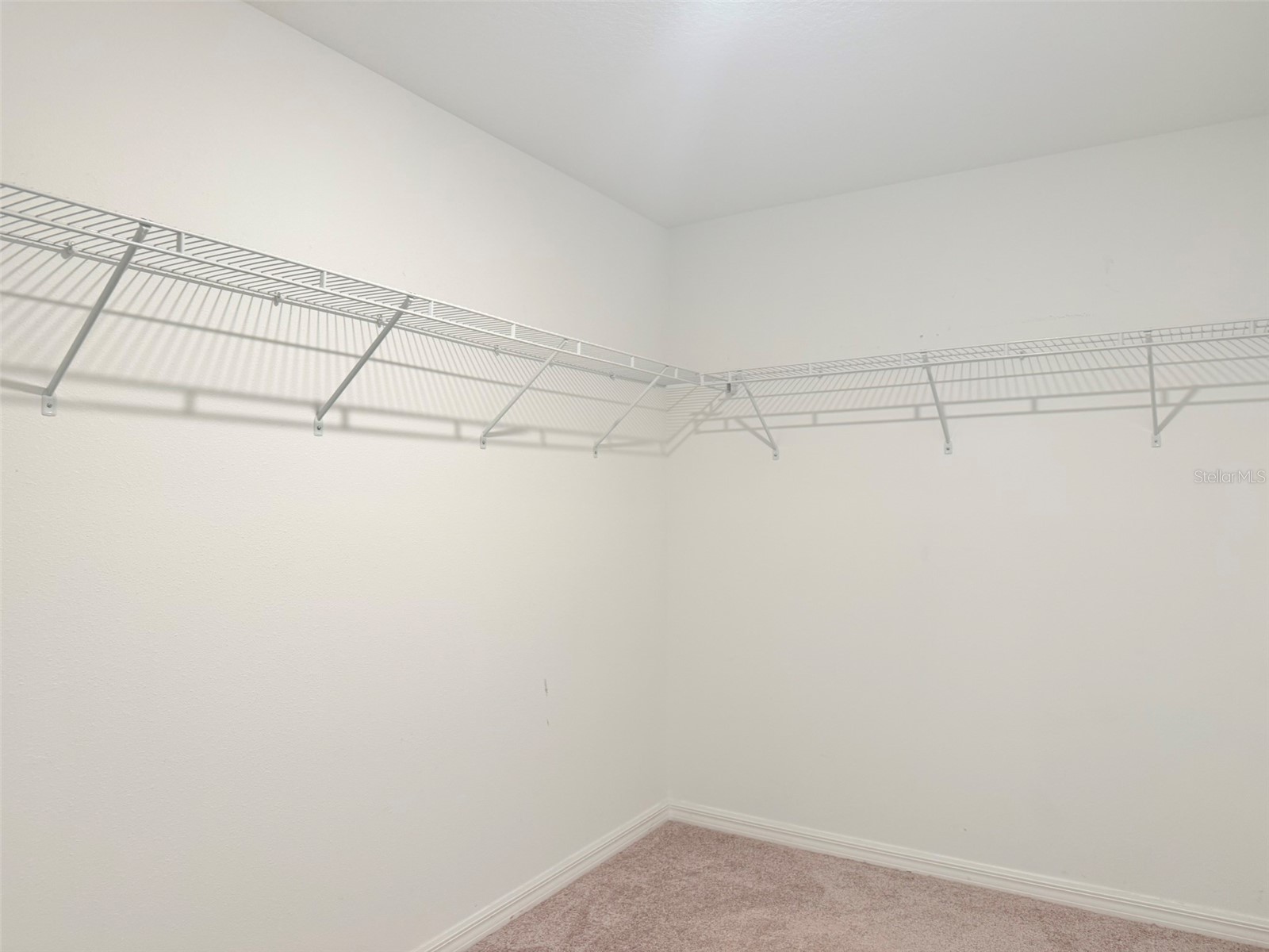 35007 Brackett Bend Zephyrhills FL 33541 TB8489570 image56