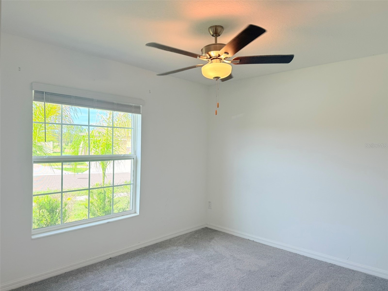 35007 Brackett Bend Zephyrhills FL 33541 TB8489570 image9