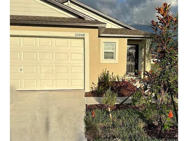 35008 Ackley Trace Zephyrhills FL 33541 TB8455651 image1