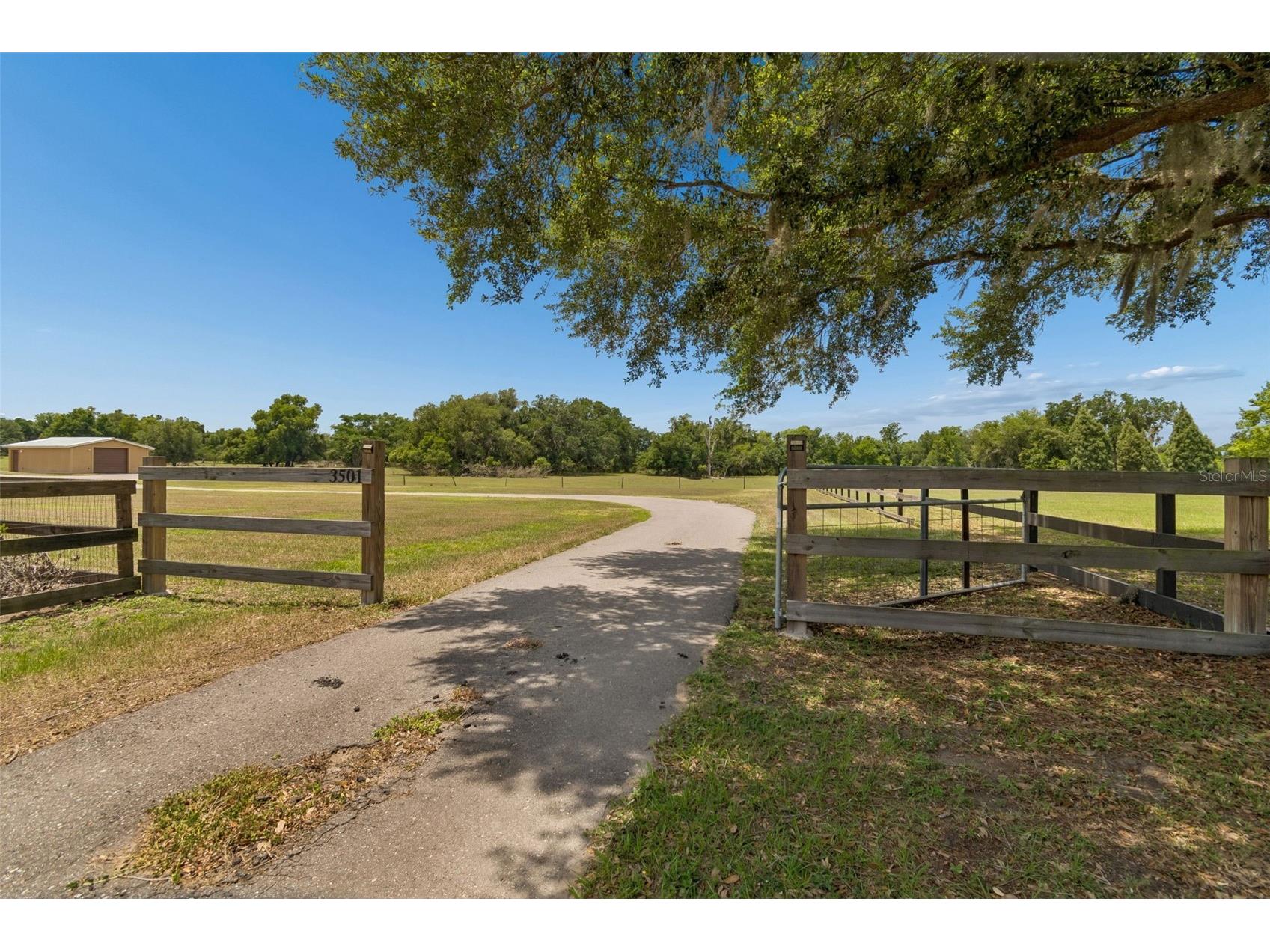 3501 Austin Trail Lane Plant City FL 33565 W7885565 image4