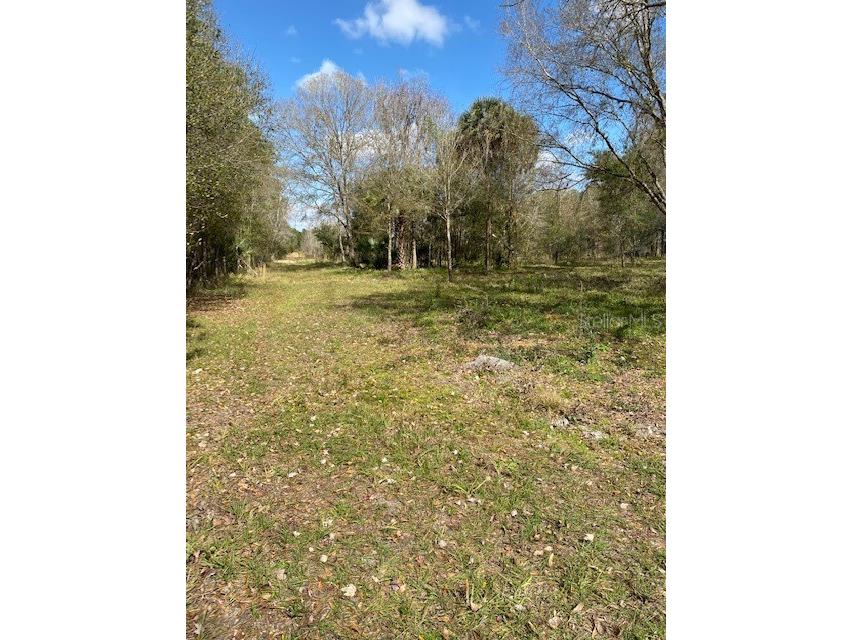 3501 Deen Still Road Polk City FL 33868 L4927845 image1