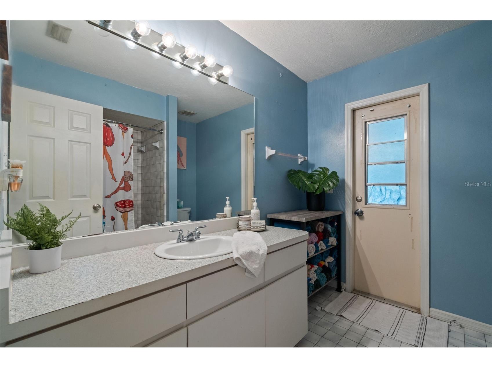 3501 Hill Stream Avenue Apopka FL 32712 O6395233 image47