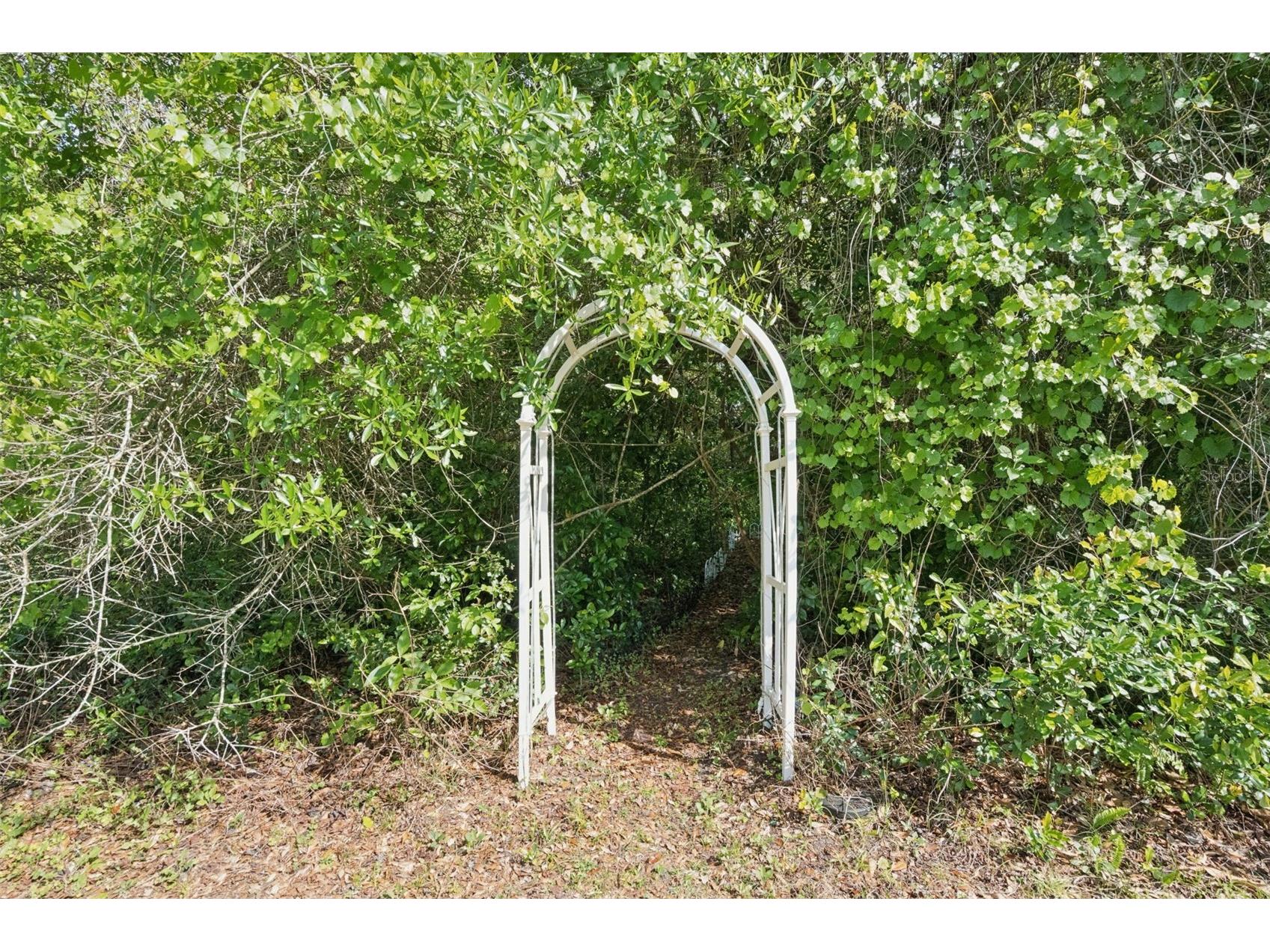 3501 Hill Stream Avenue Apopka FL 32712 O6395233 image70
