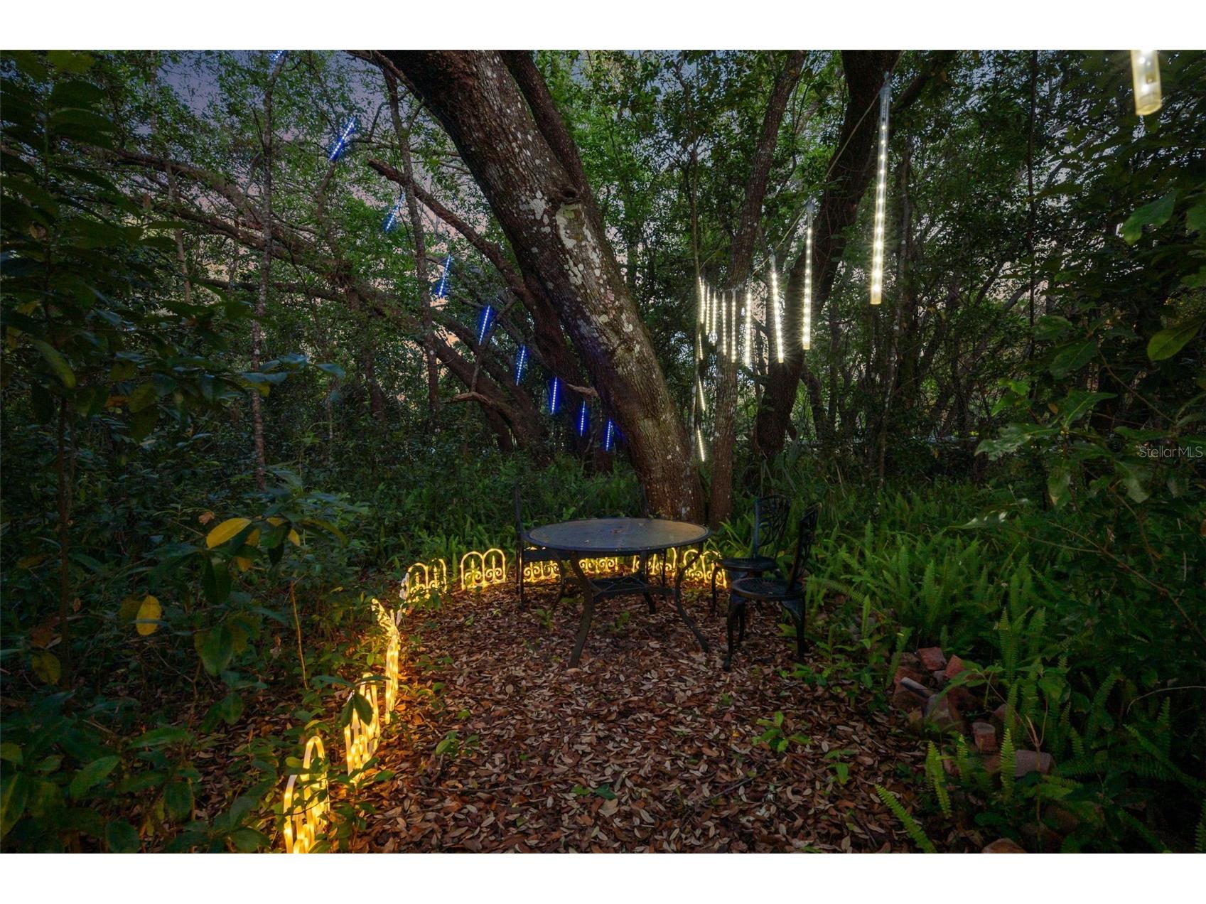 3501 Hill Stream Avenue Apopka FL 32712 O6395233 image71