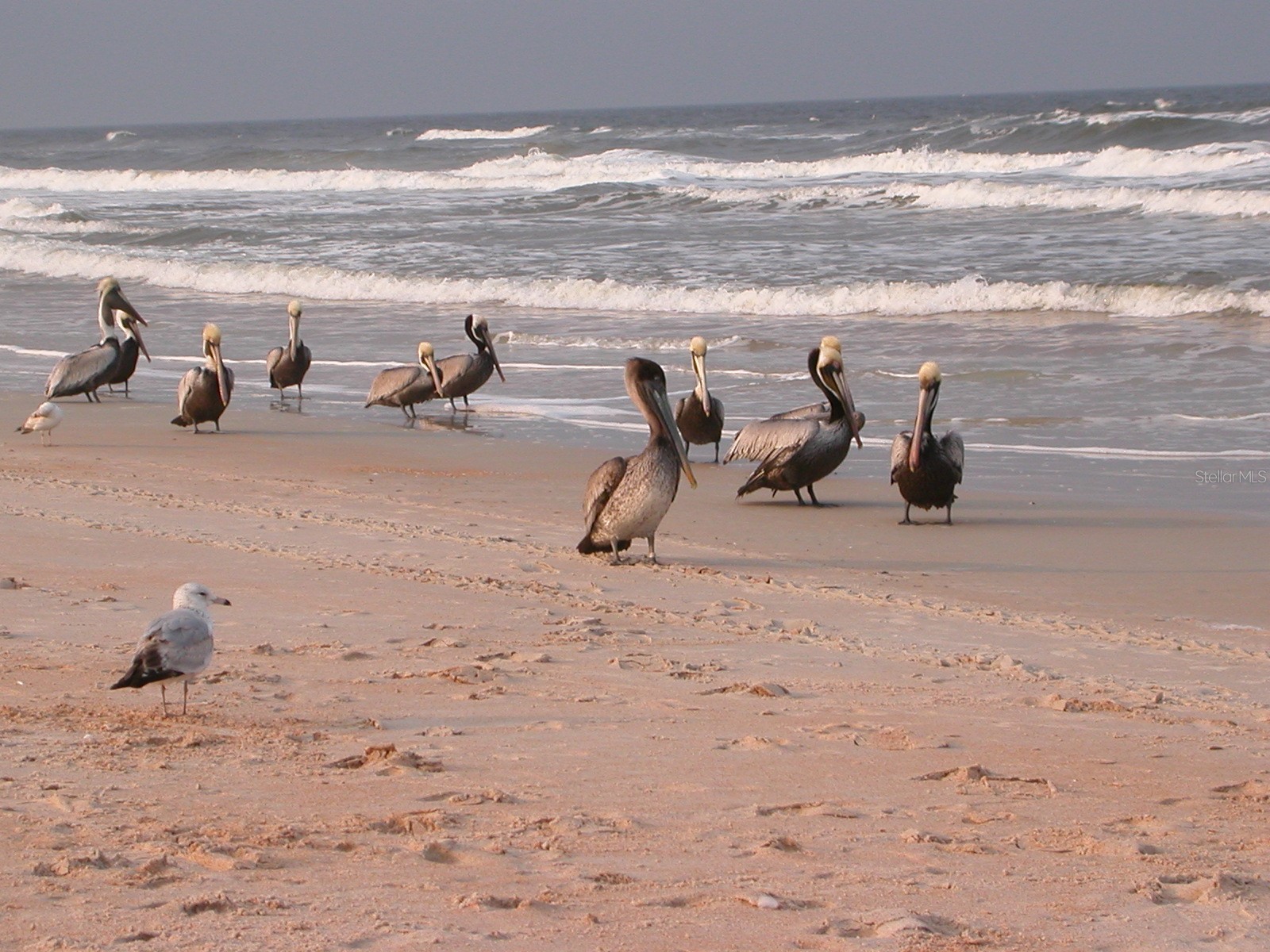 3501 S Central Avenue Flagler Beach FL 32136 FC311669 image60