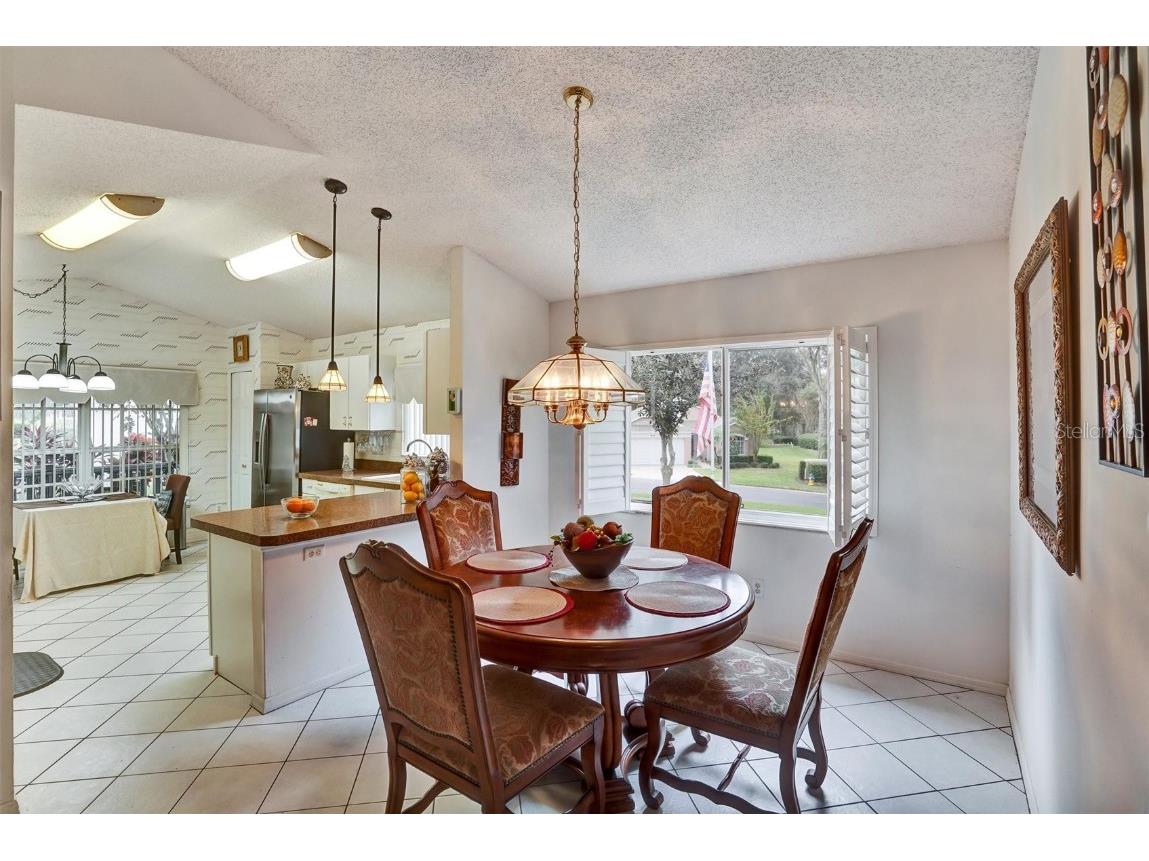 3501 Westerham Drive Clermont FL 34711 S5139331 image8