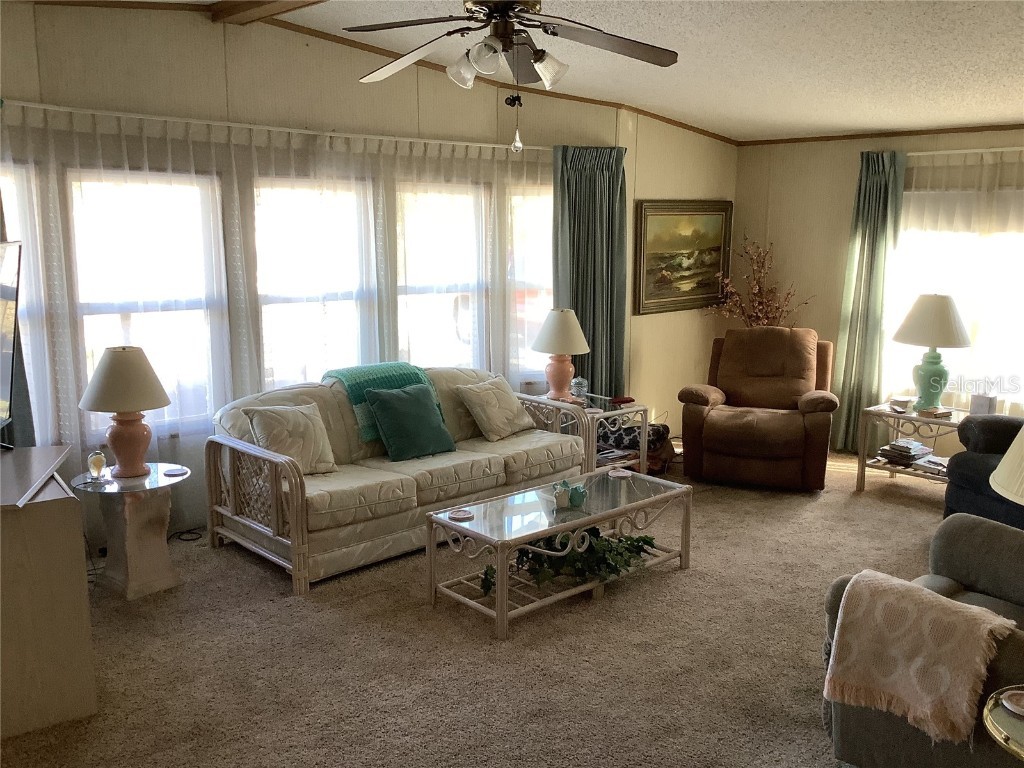 35010 Major Dade Drive Dade City FL 33523 TB8346583 image15