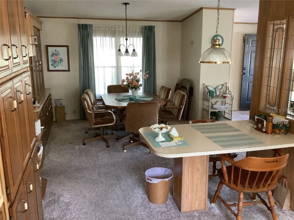 35010 Major Dade Drive Dade City FL 33523 TB8346583 image23