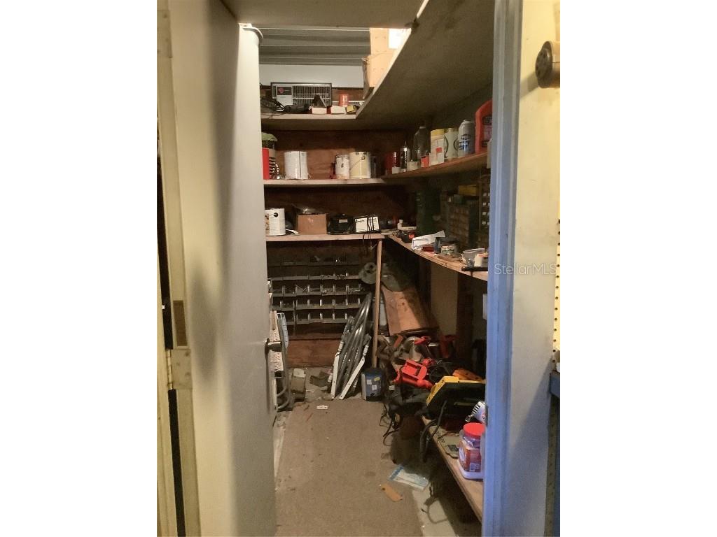 35010 Major Dade Drive Dade City FL 33523 TB8346583 image29