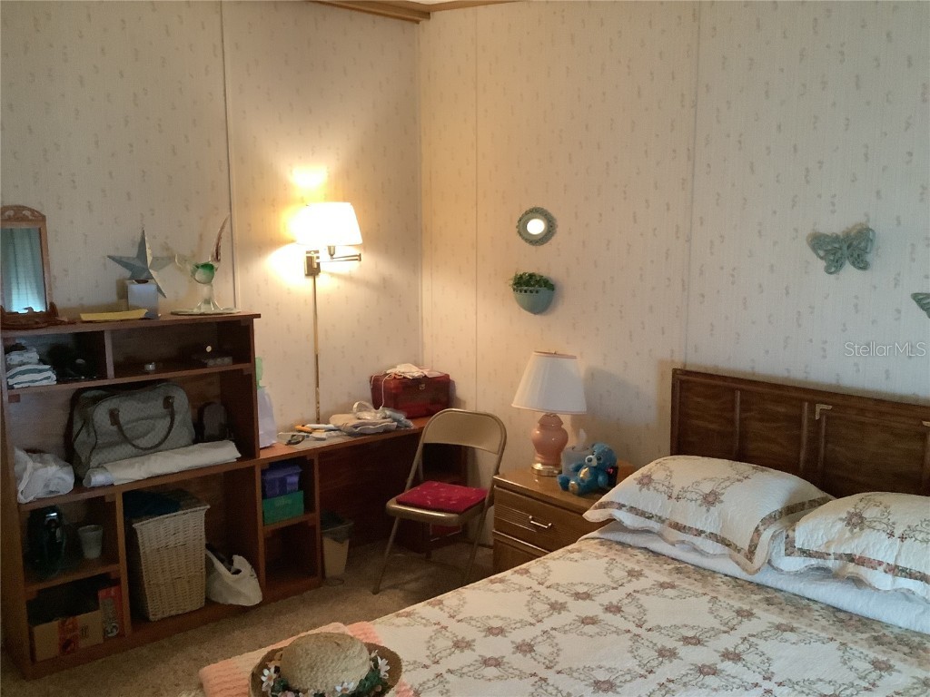 35010 Major Dade Drive Dade City FL 33523 TB8346583 image37