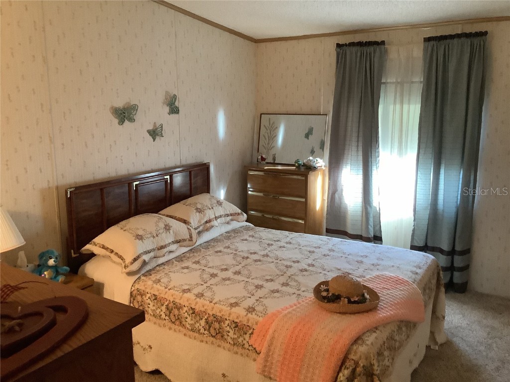 35010 Major Dade Drive Dade City FL 33523 TB8346583 image38