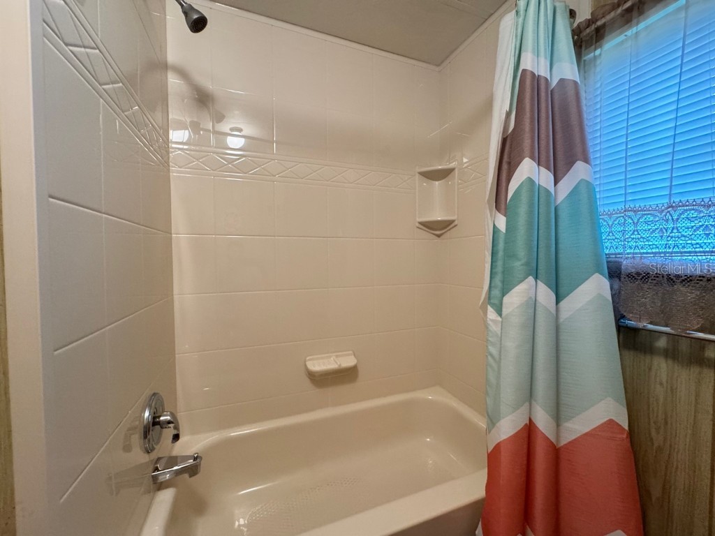 35012 Dale Avenue Zephyrhills FL 33541 TB8432369 image22