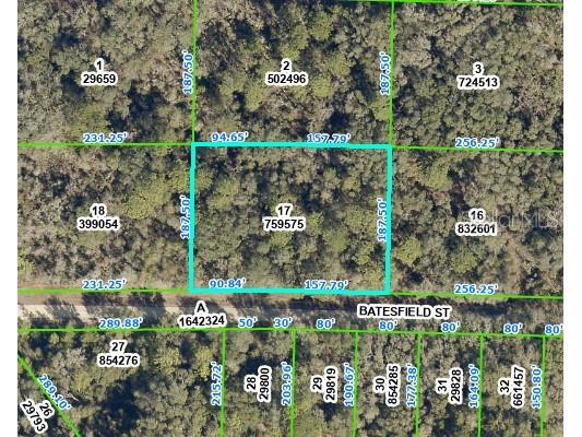 35013 Batesfield Street Webster FL 33597 U8202834 image1