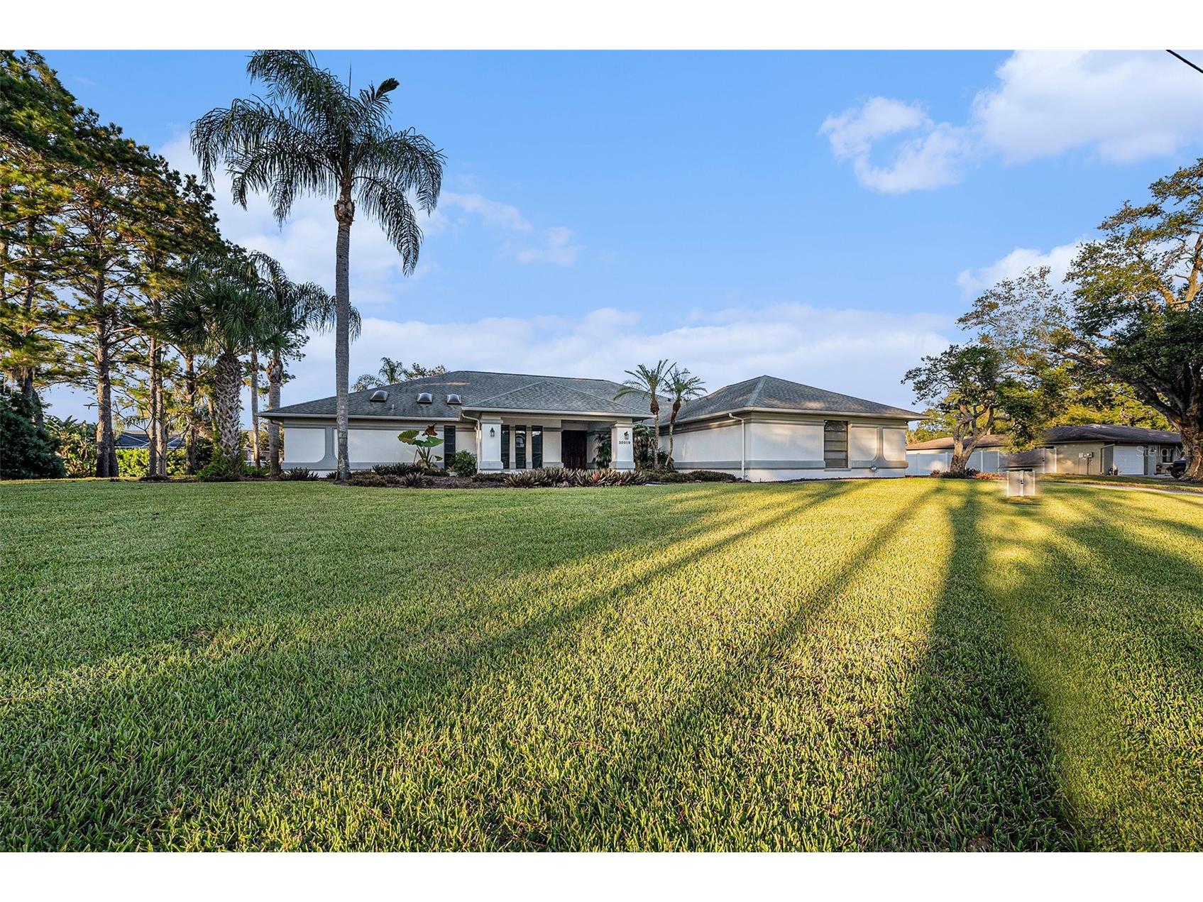 35019 Dolphin Lake Drive Zephyrhills FL 33541 TB8449814 image1