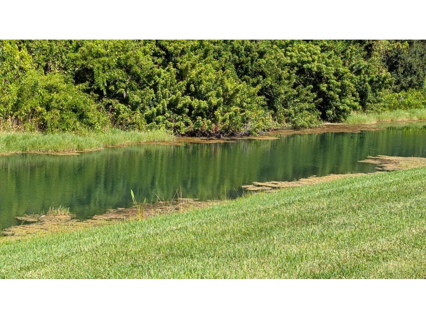 3502 54th Street E Palmetto FL 34221 A4668025 image14