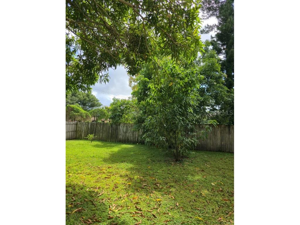 3502 Arch Street Orlando FL 32808 O6349908 image54