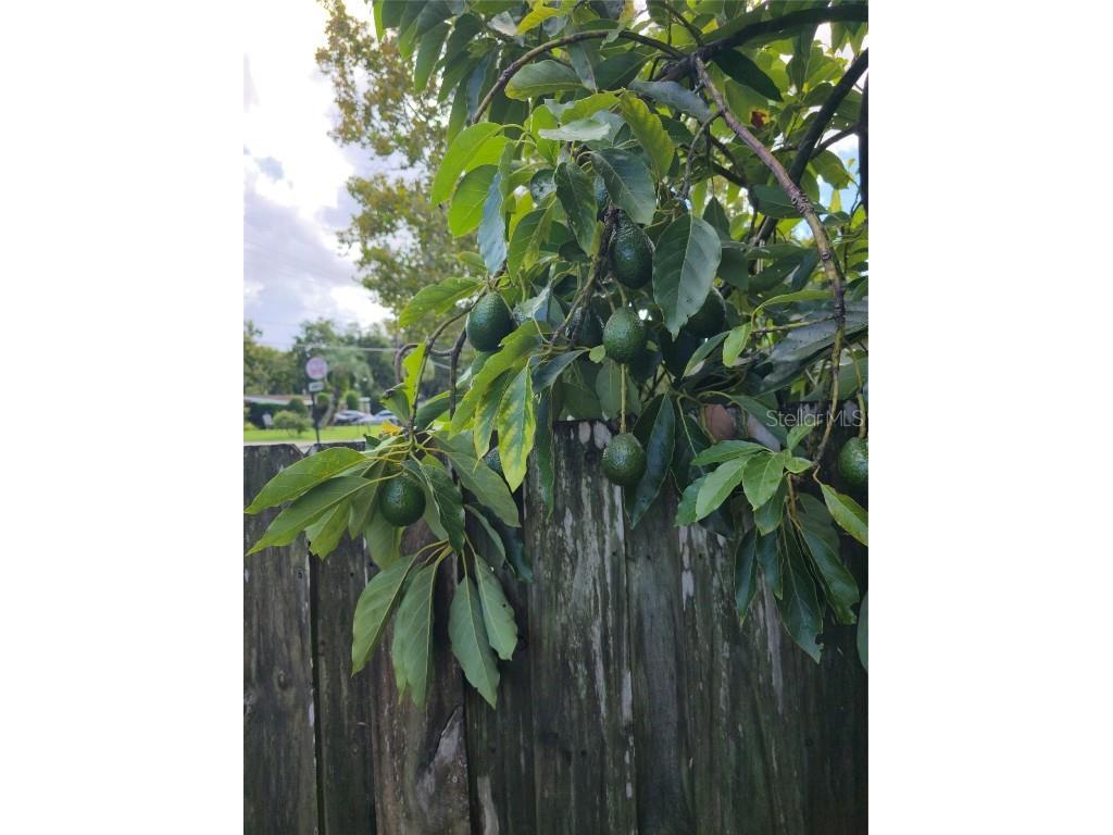 3502 Arch Street Orlando FL 32808 O6349908 image62