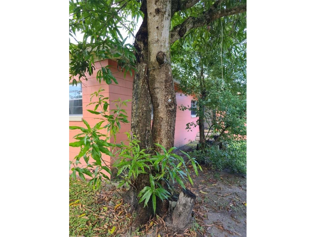 3502 Arch Street Orlando FL 32808 O6349908 image63