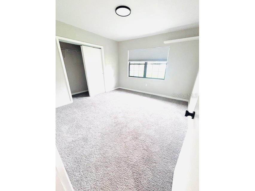 3502 Bloomingdale Avenue Valrico FL 33596 TB8404794 image16