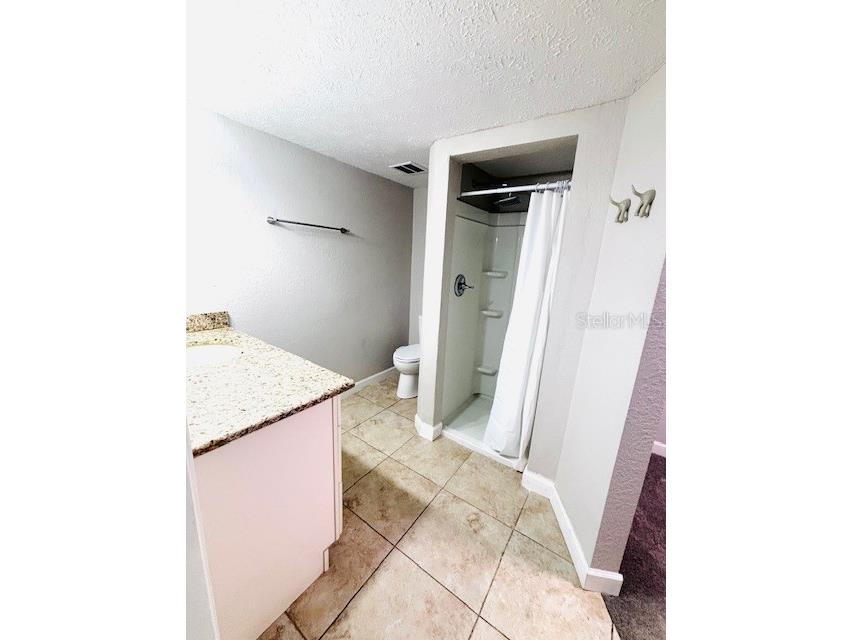 3502 Bloomingdale Avenue Valrico FL 33596 TB8404794 image19