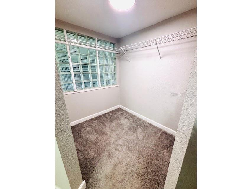 3502 Bloomingdale Avenue Valrico FL 33596 TB8404794 image20