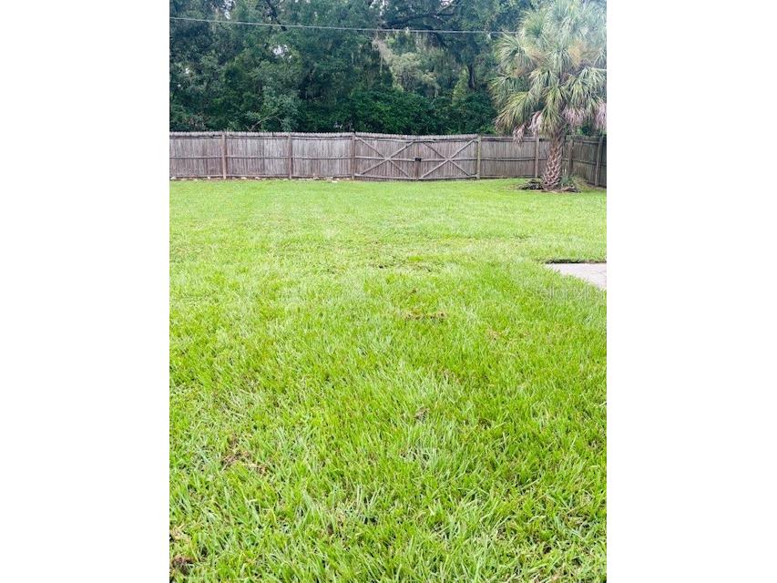 3502 Bloomingdale Avenue Valrico FL 33596 TB8404794 image26