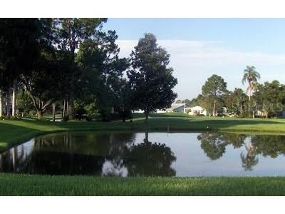 3502 Innisbrook Drive Lakeland FL 33810 L4960475 image28