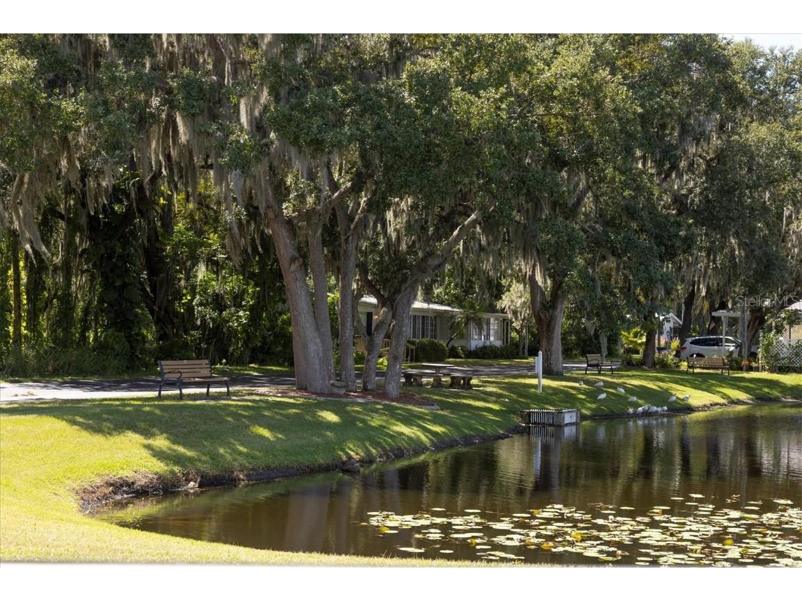 3502 Rita Place Ellenton FL 34222 A4662658 image41