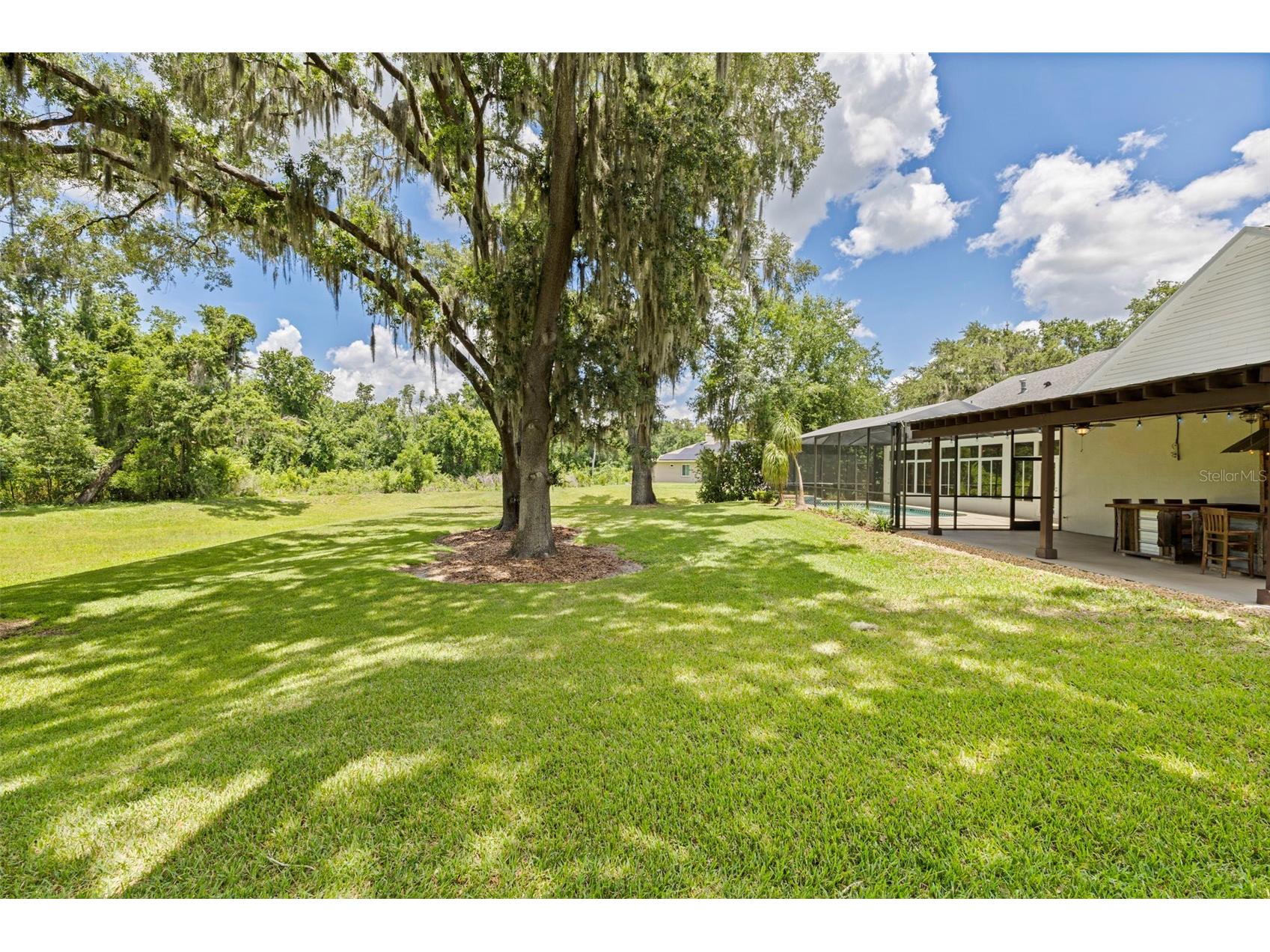 3502 Sam Allen Oaks Circle Plant City FL 33565 TB8510987 image44