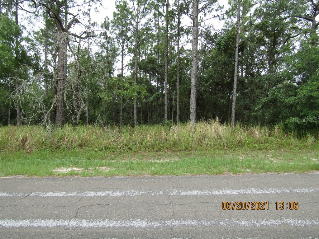 3502 W Brazilnut Road Beverly Hills FL 34465 G5043518 image1