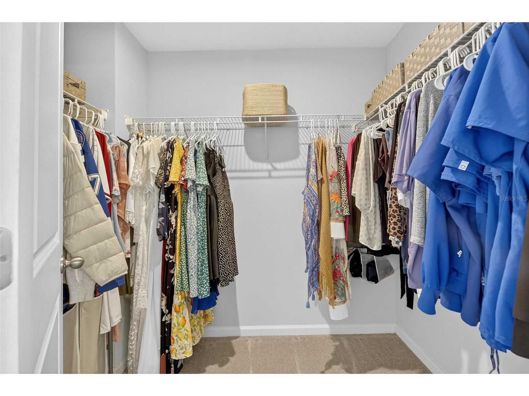 35021 Jomar Avenue Zephyrhills FL 33541 TB8424769 image24