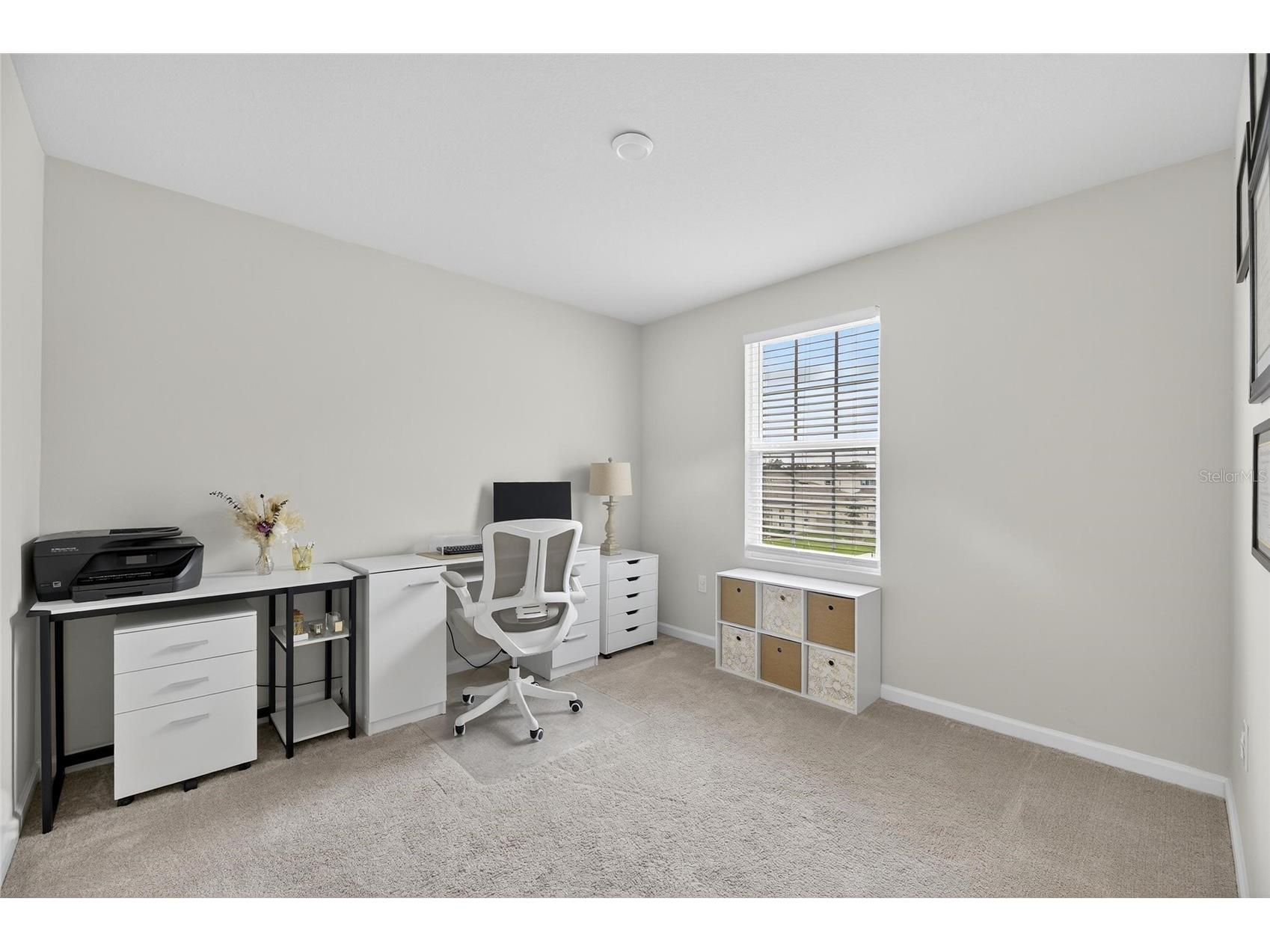 35021 Jomar Avenue Zephyrhills FL 33541 TB8424769 image32