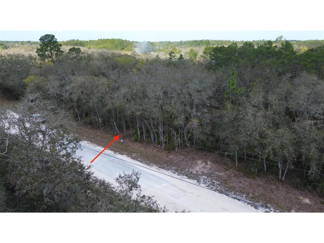35021 Manuel Street Webster FL 33597 GC528014 image1