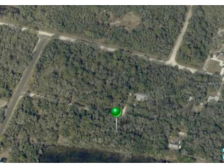 35022 Batesfield Street Webster FL 33597 W7872727 image1