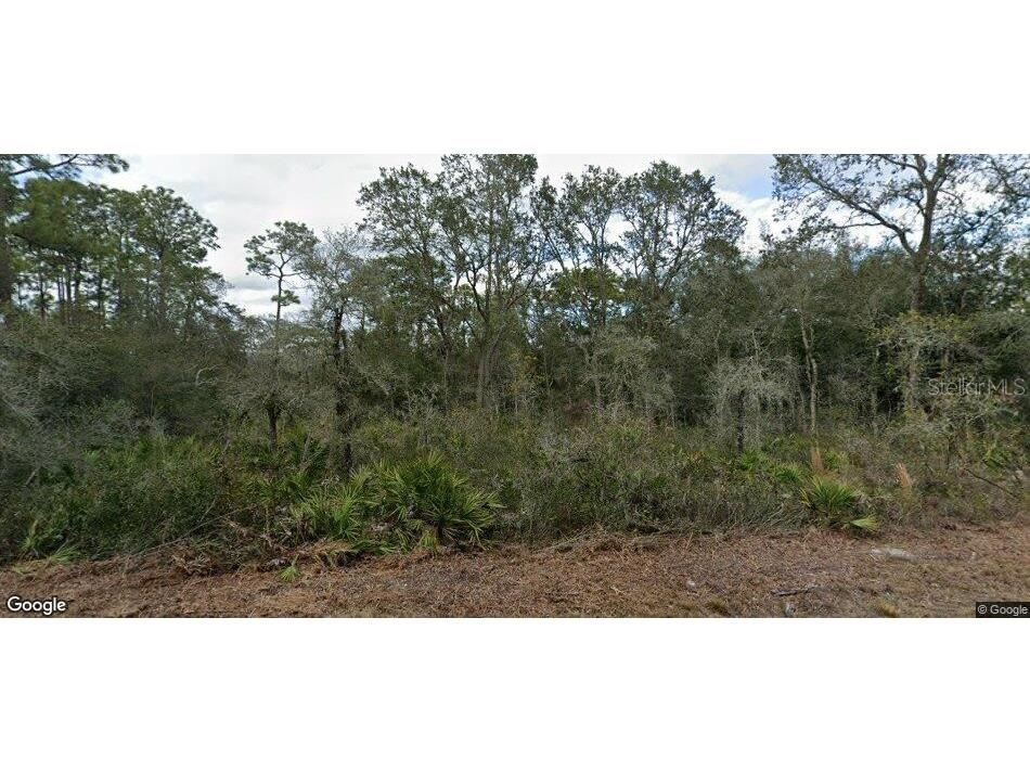 35023 Primrose Lane Webster FL 33597 W7886309 image1