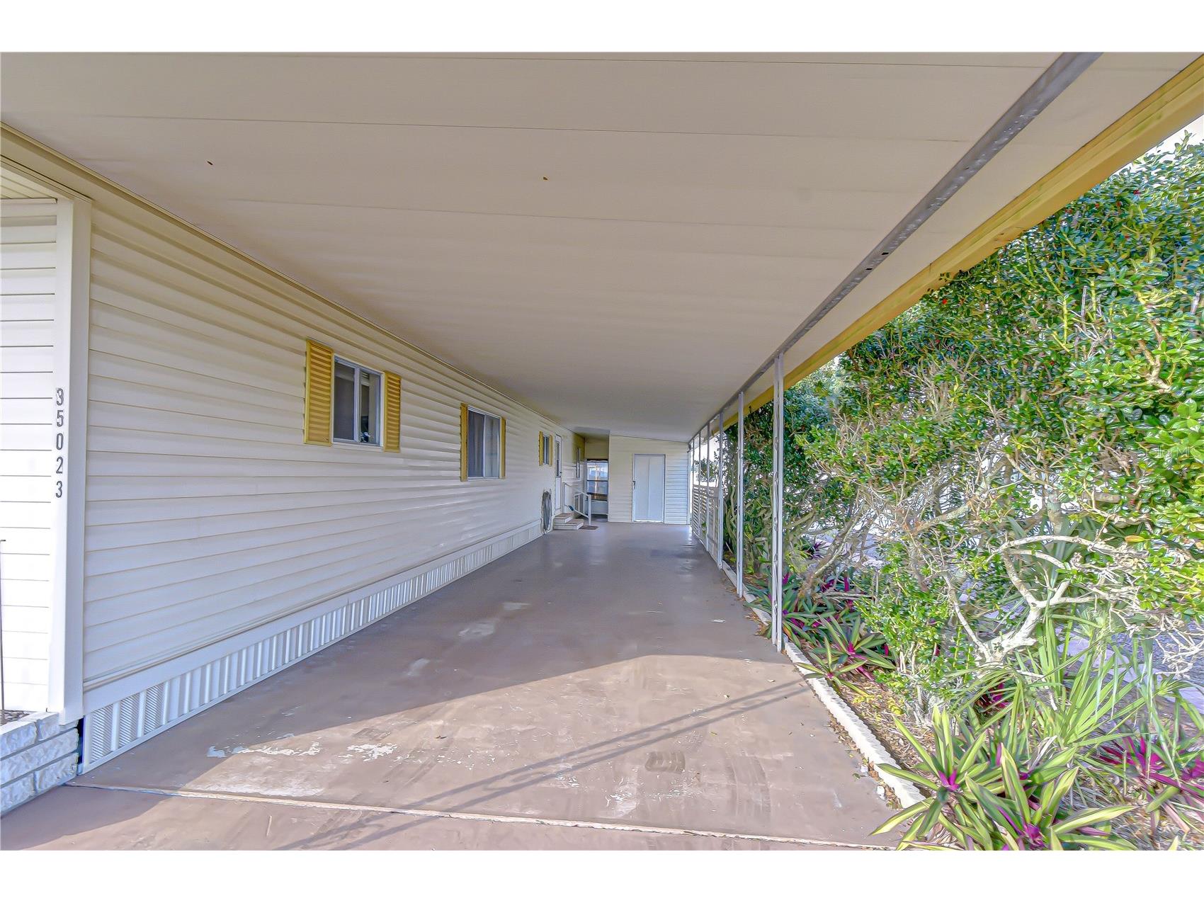 35023 Zephyr Shores Drive Zephyrhills FL 33541 TB8468242 image6