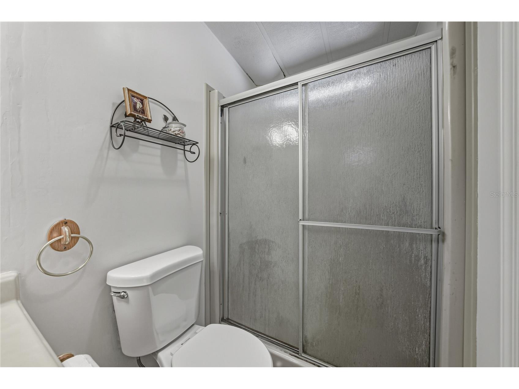 35025 Mcculloughs Leap Zephyrhills FL 33541 TB8474825 image25