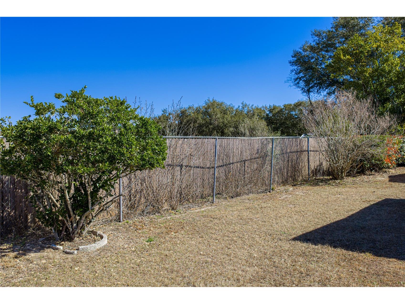 35025 Mcculloughs Leap Zephyrhills FL 33541 TB8474825 image35
