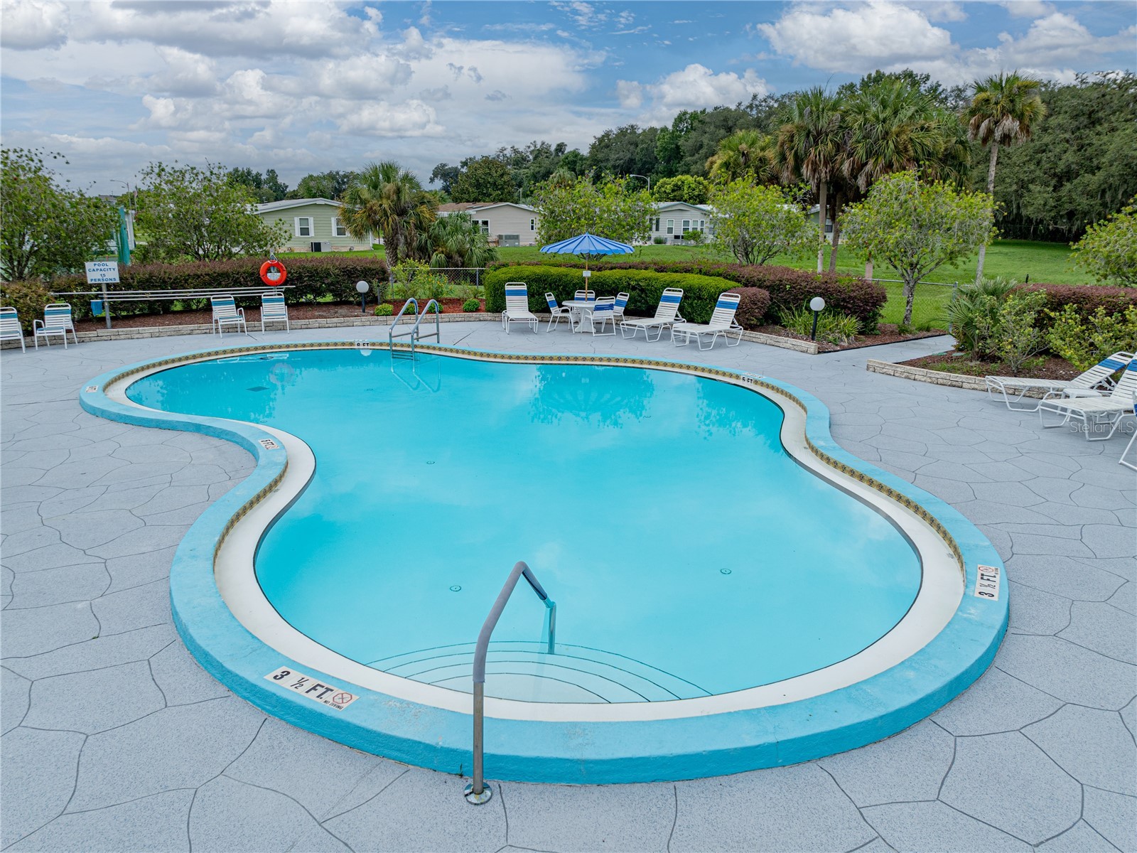 35025 Mcculloughs Leap Zephyrhills FL 33541 TB8474825 image39